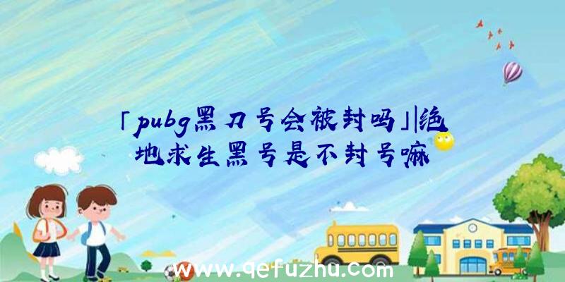 「pubg黑刀号会被封吗」|绝地求生黑号是不封号嘛